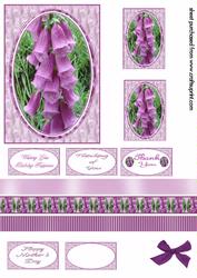 Foxgloves