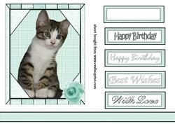 Kitten in Green Frame
