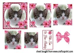 Tabbu Kitten in Pink Flower Frame
