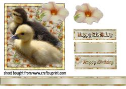 Two Little Ducklings