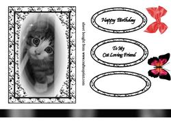 Gorgeous Kitten in Black & White Frame