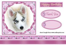 Beautiful Husky Topper