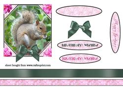 Squirrell Topper