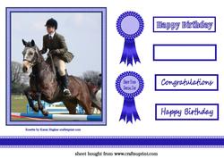 Horse Jumper Topper