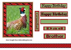Pheasant Topper