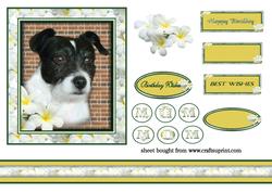 Archie Topper
