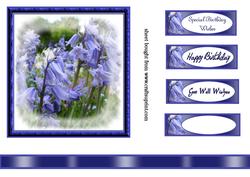 Bluebell Topper