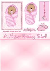 Baby Girl in Pink Blanket