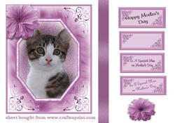 Mother's Day Kitten