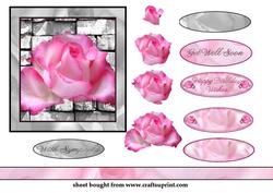 Sympathy Pink Rose on Wall
