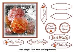 2 Colour Rose Topper