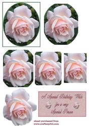 Pink Rose Pyramid