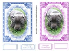 Staffie Puppy Topper