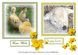 Easter Lamb & Ducklings