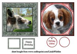 Donkey & Dog Topper