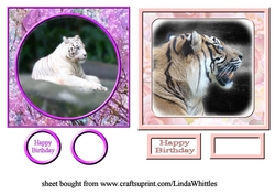 White & Siberian Tiger Toppers
