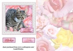 Cat Topper
