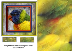 Colourful Parrot Topper