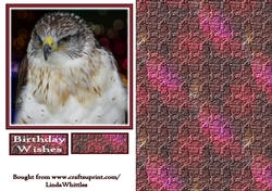 Owl Topper