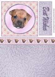Puppy in Jewelled Ring