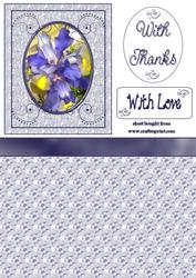 Iris