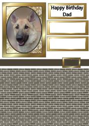 Handsome Dog