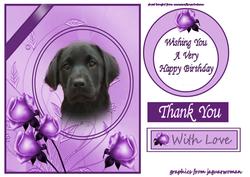 Lilac Rose Puppy