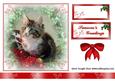 cup138509_3 - Christmas Kitten
