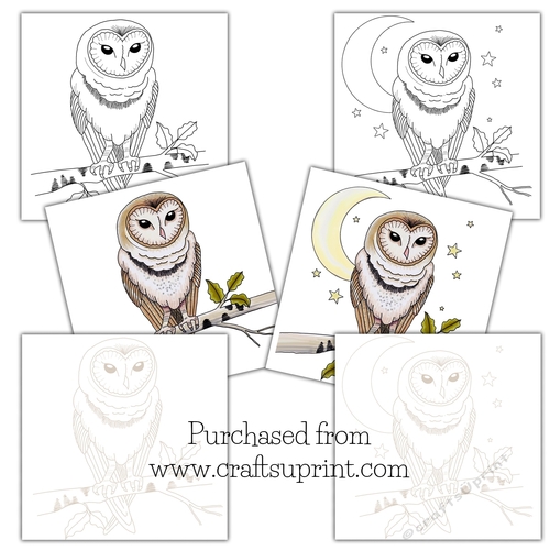 Owl digital and precoloured stamp 