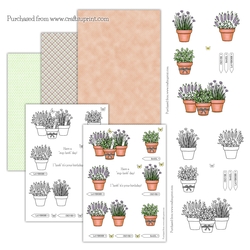 Herbs Mini Kit