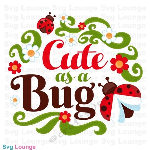 Spring Cute as a Bug  SVG Cut File, Spring Has Sprung Cut File, Lady Bug 