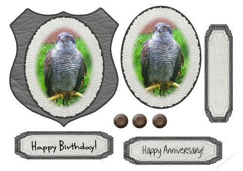 Bird Of Prey Topper Sheet
