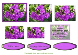 Purple Frangipani Pyramage Topper