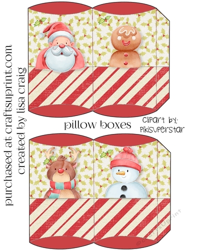 Snowy Friends Pillow Boxes 2