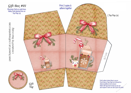 Frappuccino Christmas Gift box
