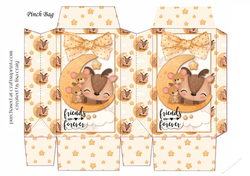 2021-Best Friends pinch bag