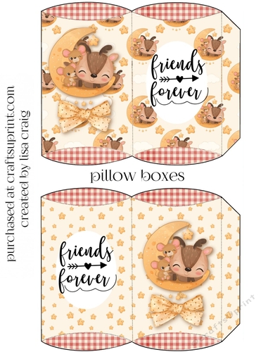 2021-Best Friends pillow boxes