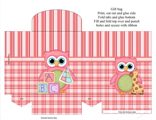 Pink Owl Gift Bag