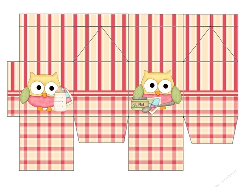 Yellow Owl Milk Carton
