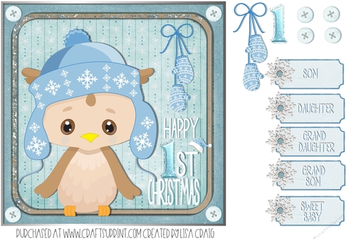 Winter Owl 1st Christmas Quick Card 1
