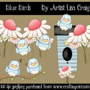 Blue Birds