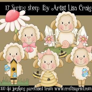 Spring Sheep