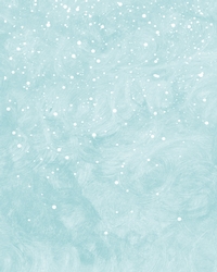 Snow Backing Sheet 1