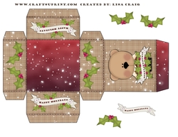 Little Christmas Box 1