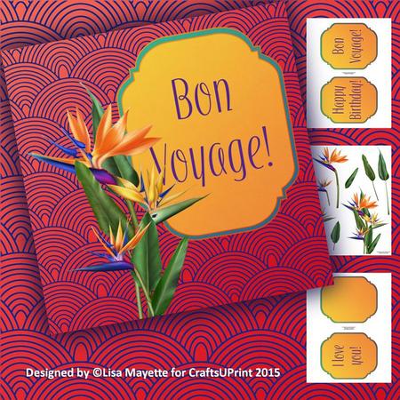 Topical Bird of Paradise Decoupage Mini Kit
