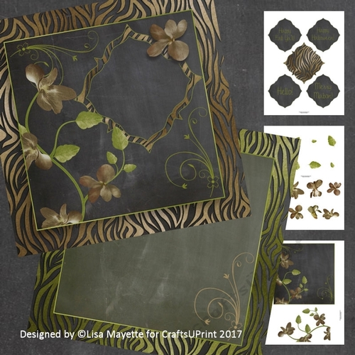 Burnished Orange Orchids Zebra Print Chalkboard Decoupage Card Making Kit
