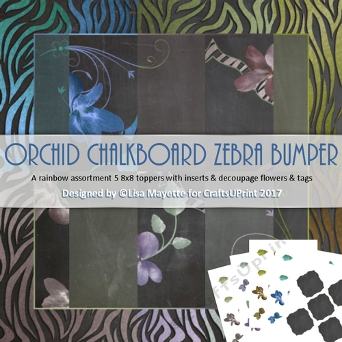 Orchids Zebra Print Chalkboard Decoupage Card Making Bumper Kit