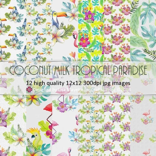 Coconut Milk Gray Tropical Paradise