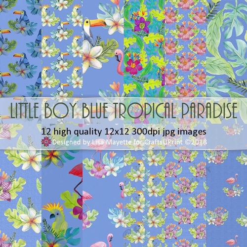 Little Boy Blue Tropical Paradise