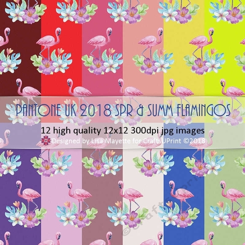 Pantone UK 2018 Spring & Summer Flamingos